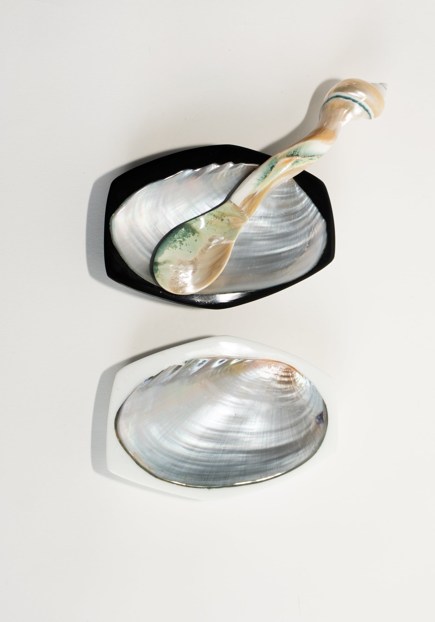 Large Shell Caviar Spoon