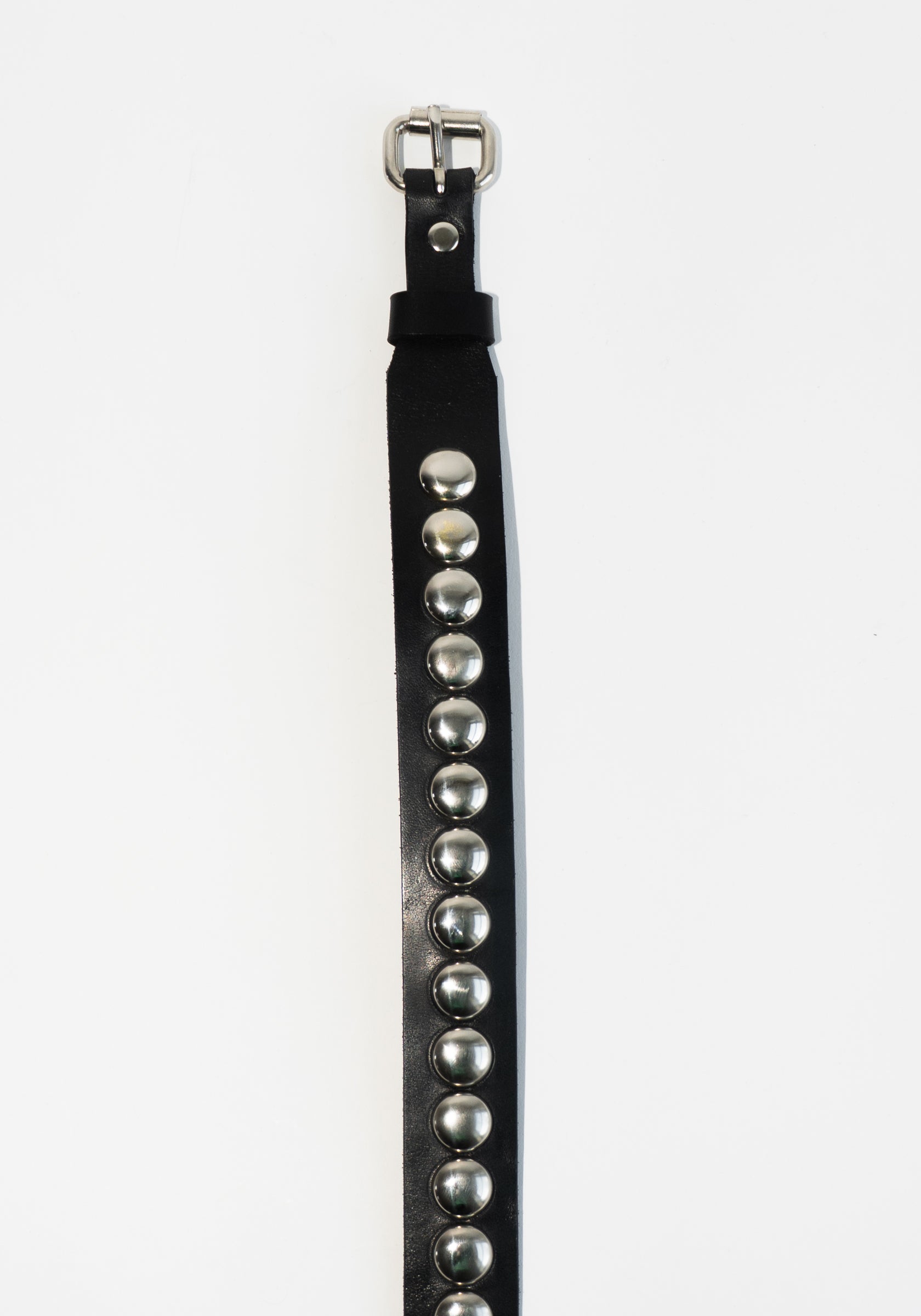 Latigo Leather Conch Stud Belt in Black