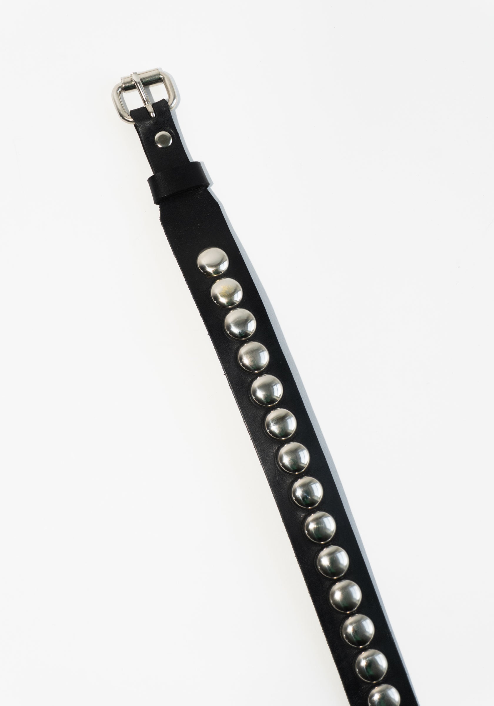 Latigo Leather Conch Stud Belt in Black