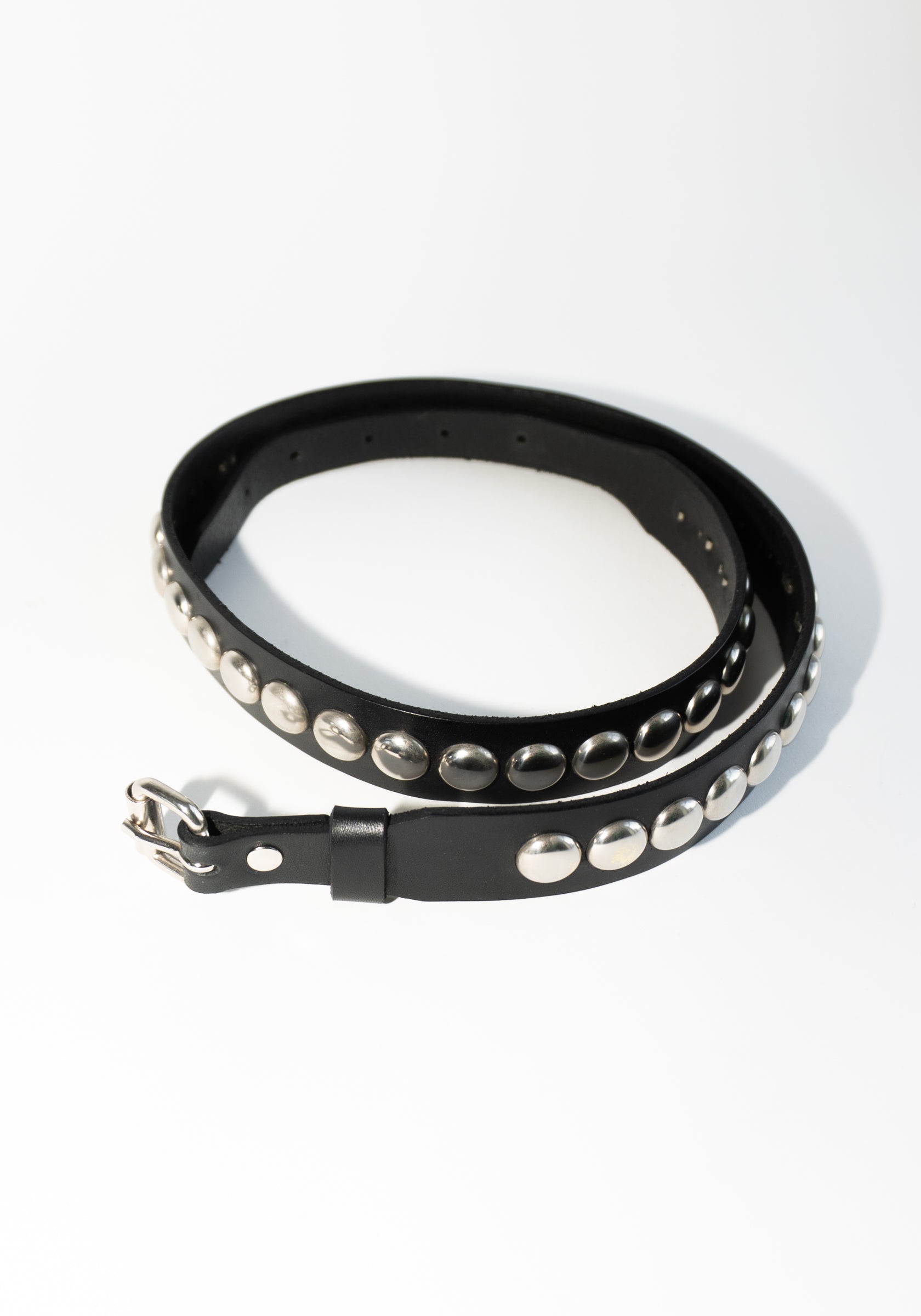 Latigo Leather Conch Stud Belt in Black