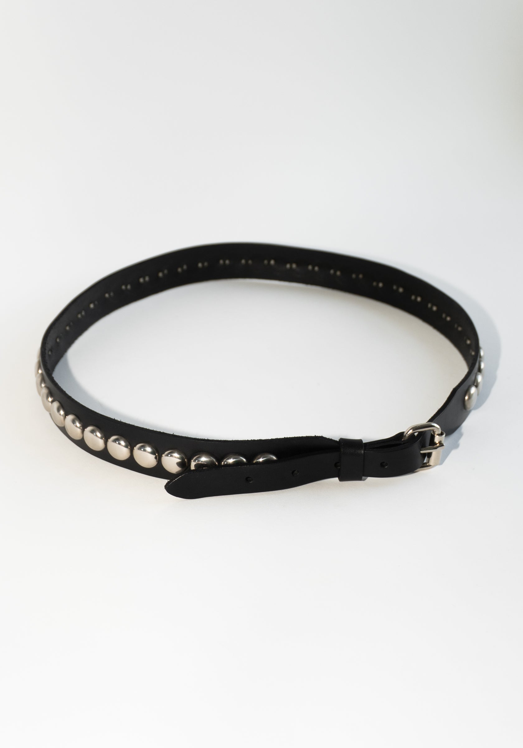 Latigo Leather Conch Stud Belt in Black