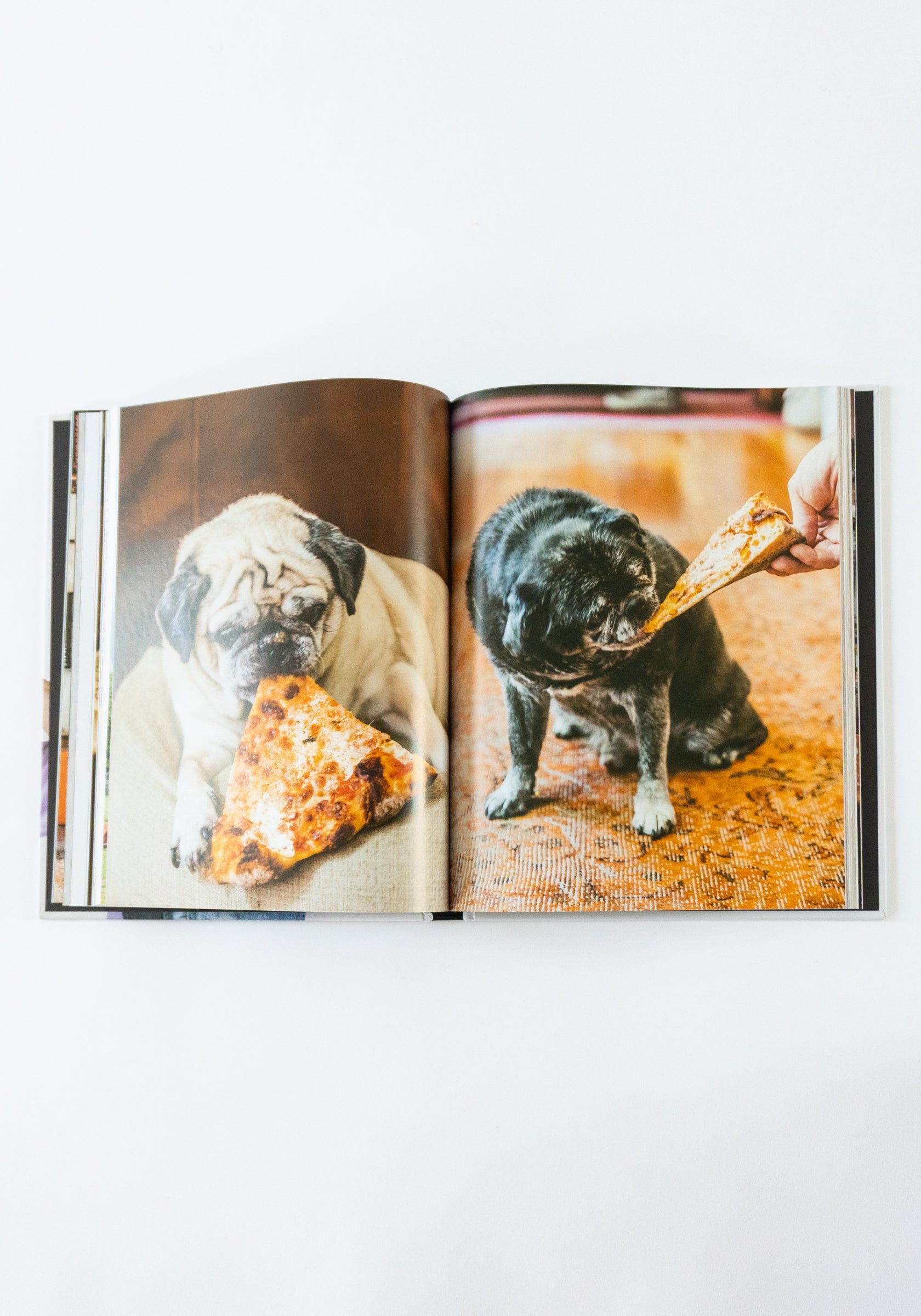 Pizza Camp: Recipes from Pizzeria Beddia Book