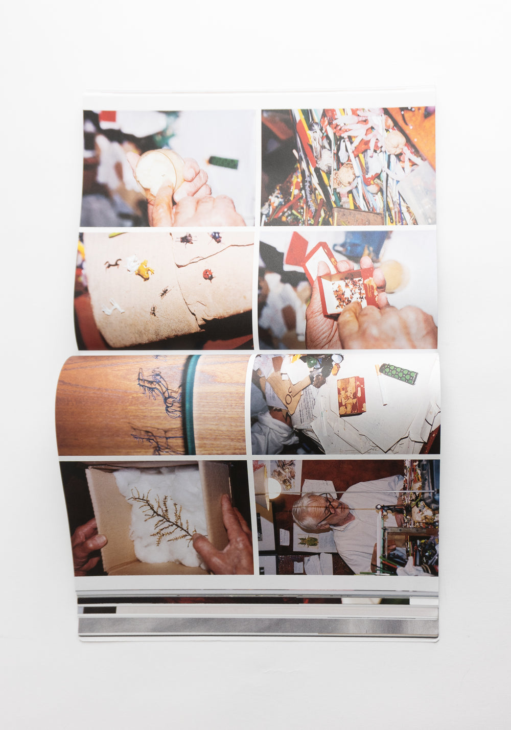 The Plant Magazine - Issue No.24