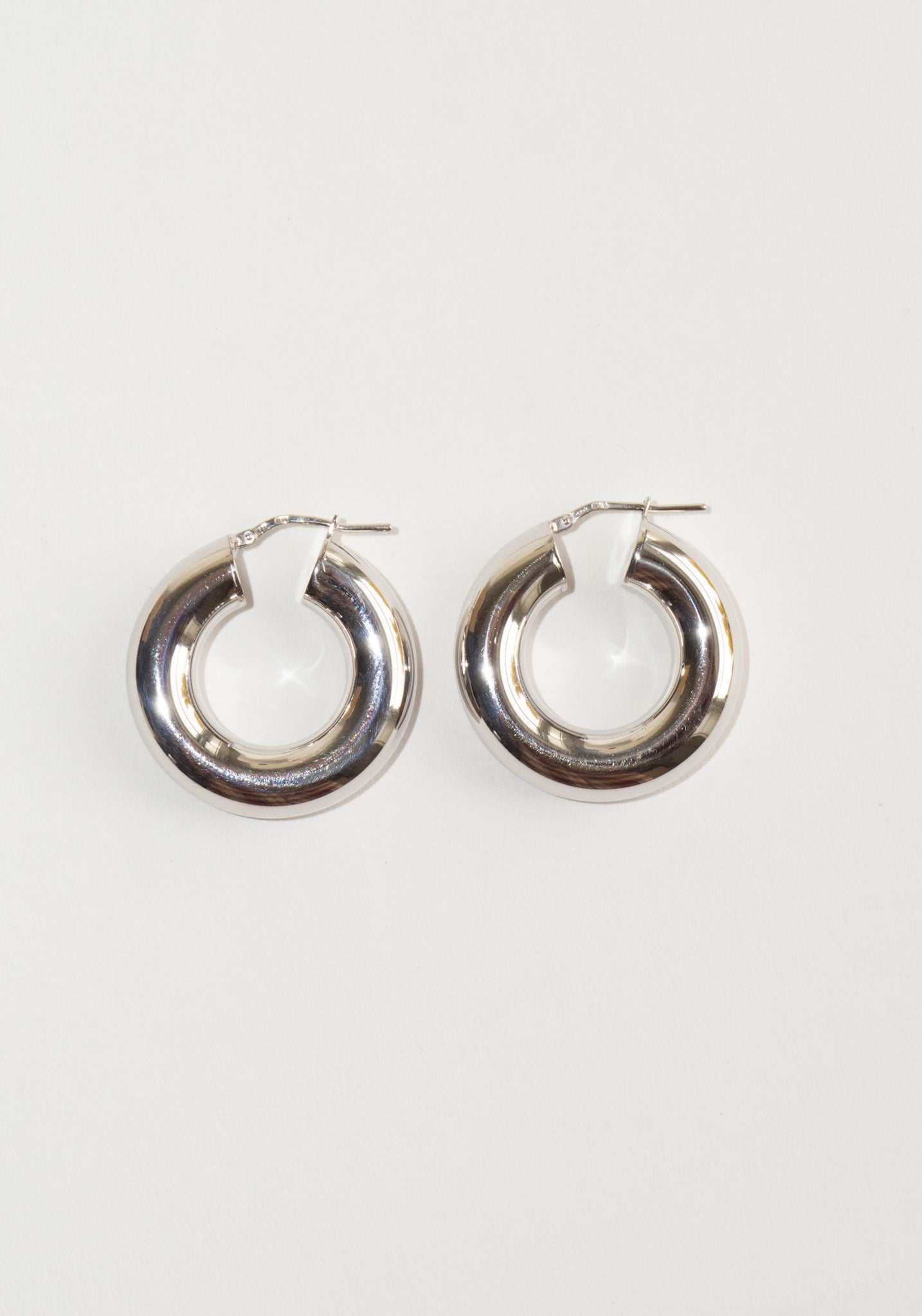 Essentialist Earrings in Silver