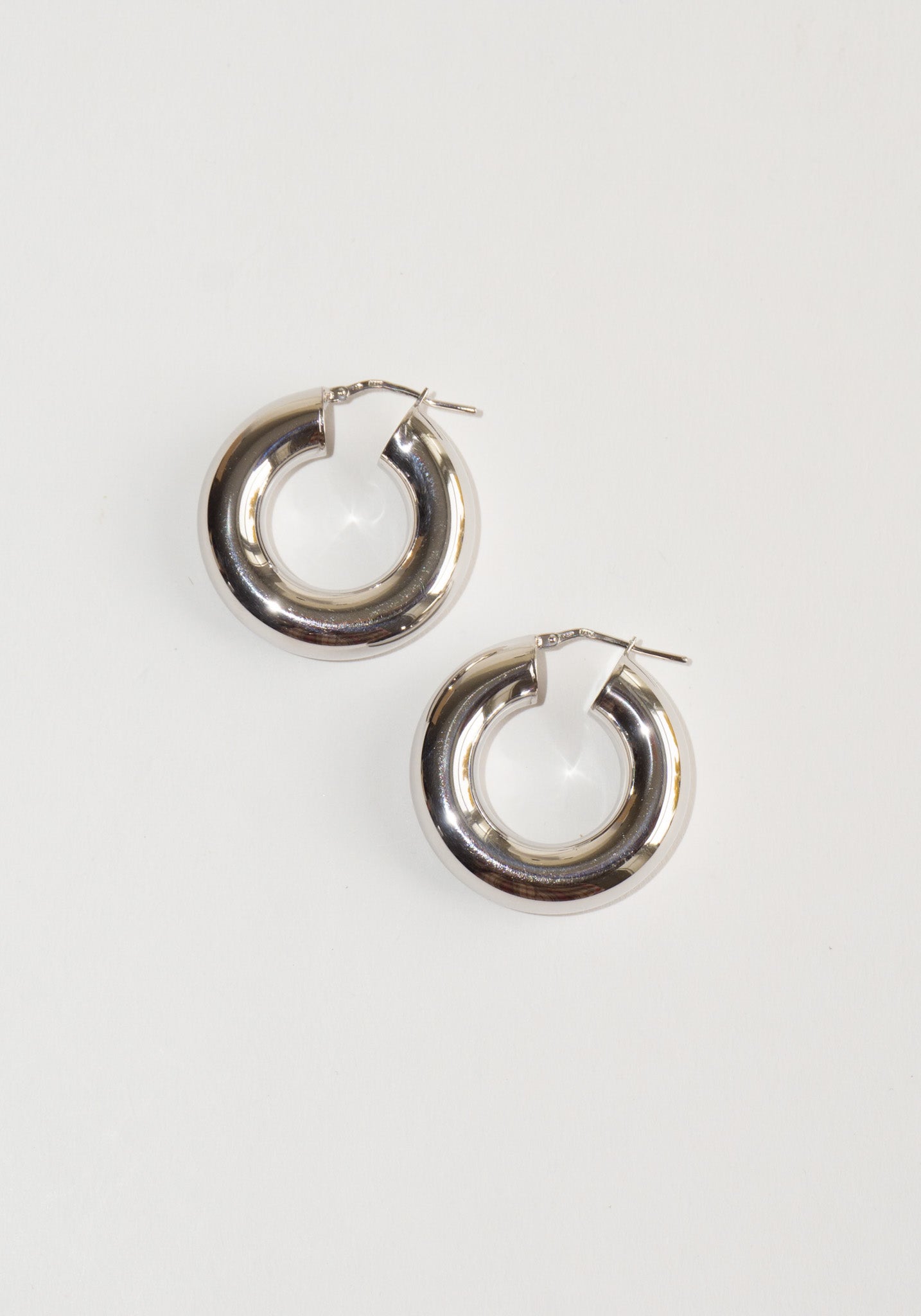 Essentialist Earrings in Silver