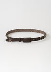 Narrow Belt in Brown Monotone