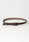 Narrow Belt in Brown Monotone
