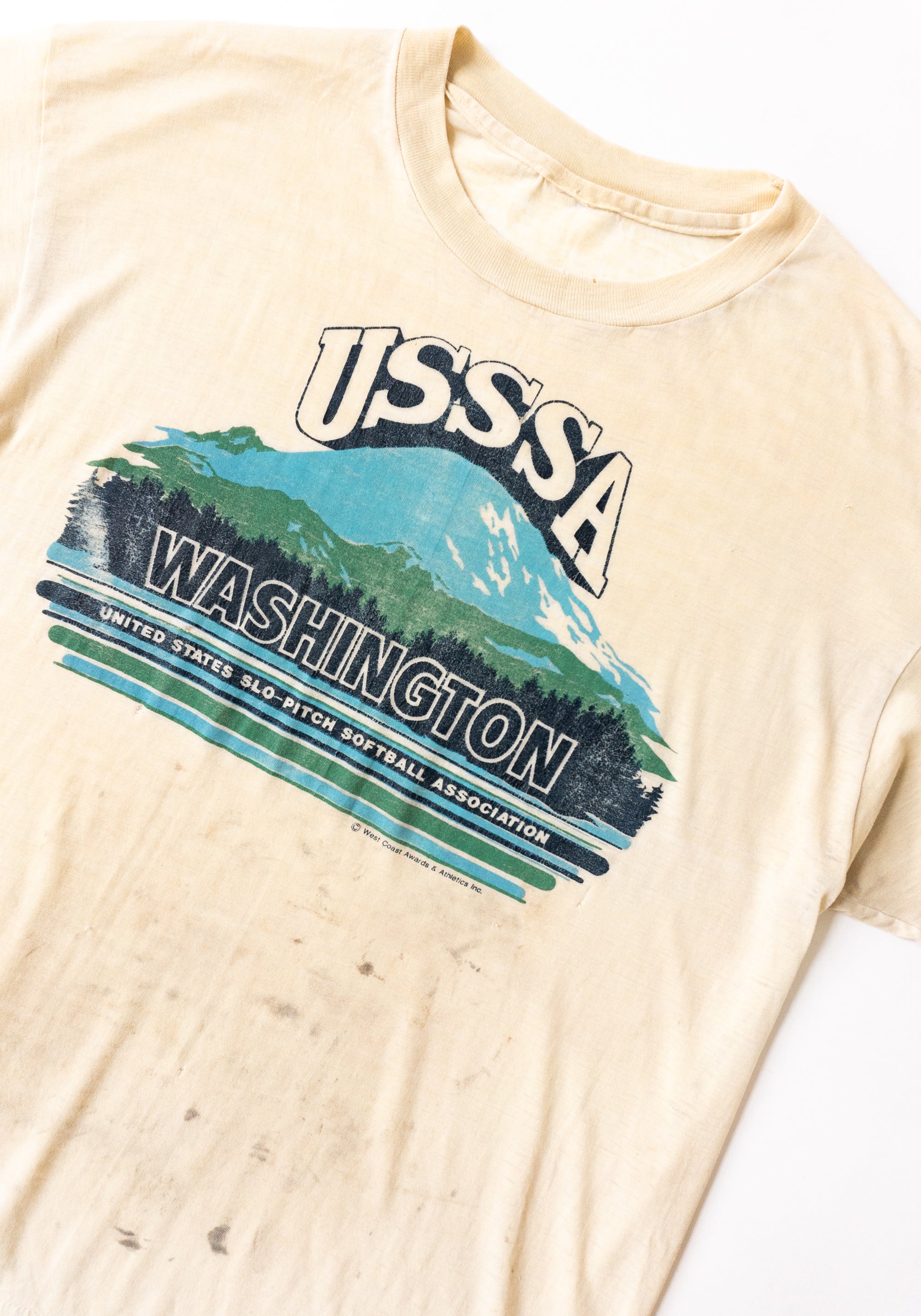 Vintage USSSA Washington Tee