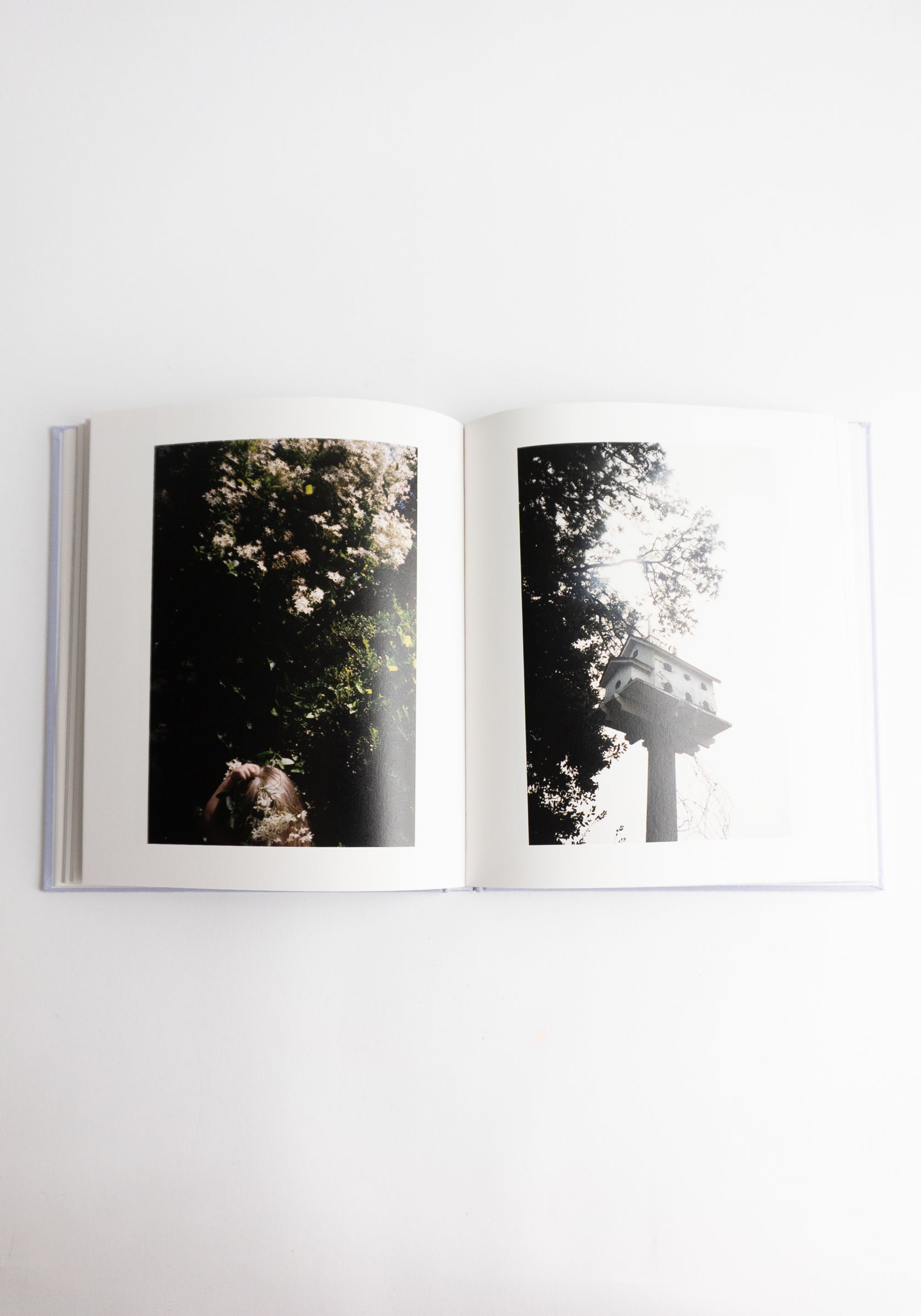 We Keep Swimming, Until We All Reach Home