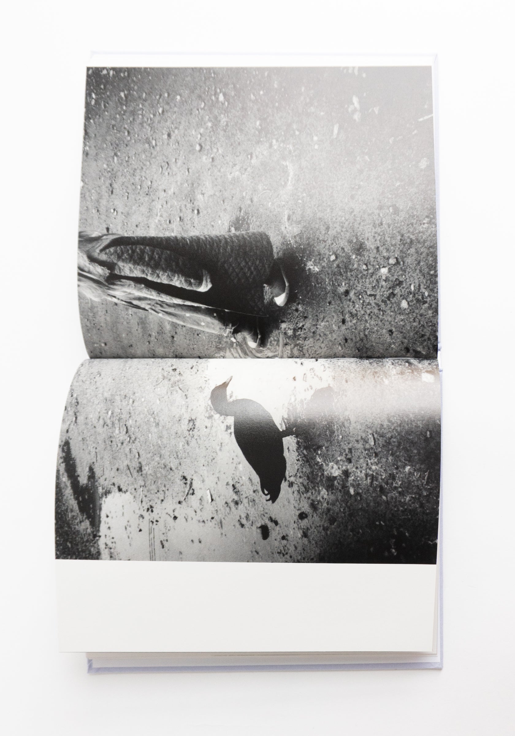 We Keep Swimming, Until We All Reach Home